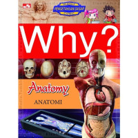 Image of WHY? Anatomy